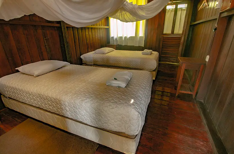Twin Room 4