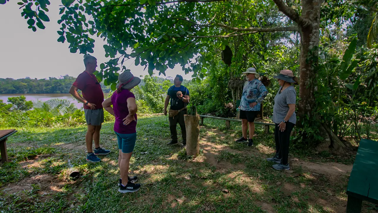 Guests enjoying activities