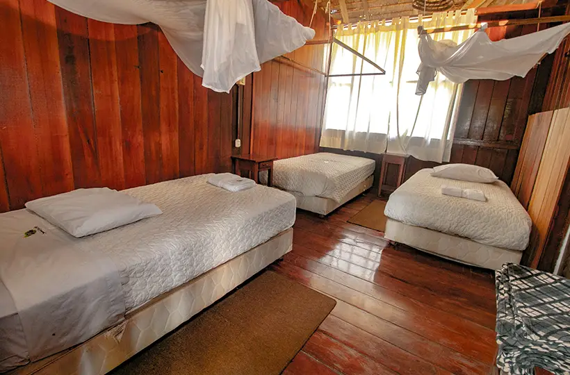Triple Room 6
